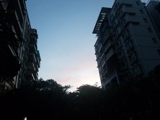 365