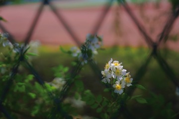 9F507D61-9F0C-4862-AEDF-42ECA5285628/L0/001