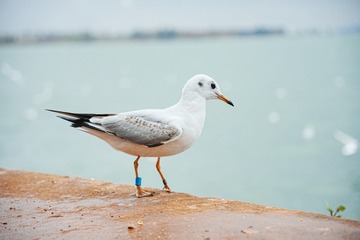 209579