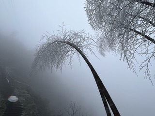AC29C059-DD02-470E-9414-064A5FCFE6CA/L0/001