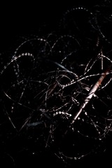 1B835267-5F9A-4885-8F08-EFB5F7E4D80D/L0/001