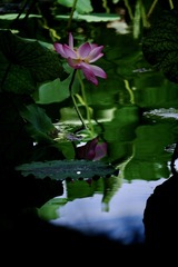 52508D96-2C3E-4AE1-8F39-B636A2E0D182/L0/001