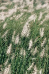 637A6586-79F3-4676-9A0F-58C7D32E2660/L0/001