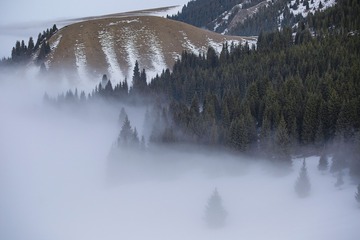 51758