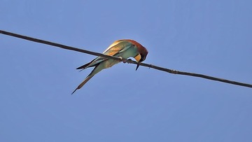 9157