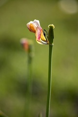 59497