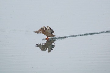 53970