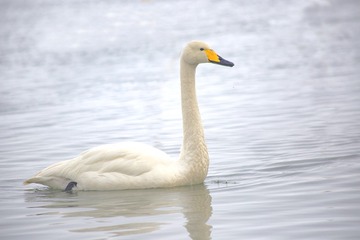 50188