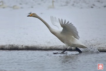 40892