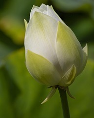63633