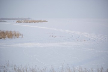 52247