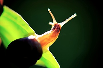 9071