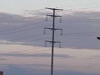 4872489