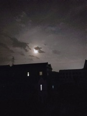 4841772
