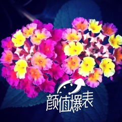 6A28CB4B-063B-4F17-BAA3-0156CC103489/L0/001