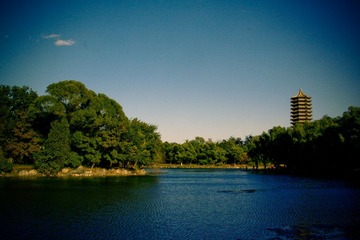 北京大学
