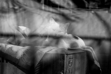 _MG_1049-1