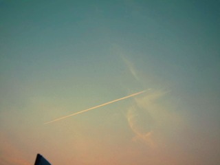 照片 112副本.jpg