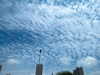 6C9E75AE-4F8A-4D7B-B49F-E2560BCDAF96/L0/001