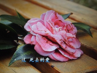 200937