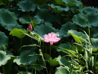 1FB3C2DA-33D8-42D8-A465-DC0CED6A0768/L0/001