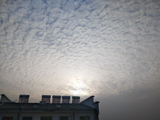 4A9037EF-02AF-4F2D-9BA6-411D88A3EFF9/L0/001