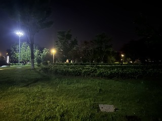 552E56D7-88F7-4E37-8AC2-F1AE9ED3C367/L0/001