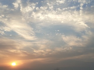 F9F387E2-352A-4616-A3C9-C468BD7D7C98/L0/001