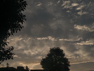 EC19E1F2-9DFD-46C4-8530-B1F54722BEFE/L0/001