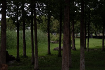 54146C1E-CF7F-4EDD-A6D0-33A95AE0D0CC/L0/001