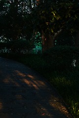 2A14359B-3F6E-4E5C-8E35-45FA6A5A1BBF/L0/001
