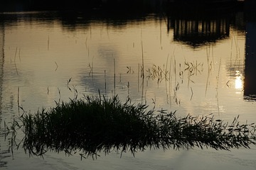 F7914DA5-475C-4831-9B35-D71A98685E3B/L0/001