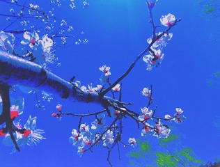 D7D67E44-99FE-4734-AAAD-B08CD3A12F5A/L0/001