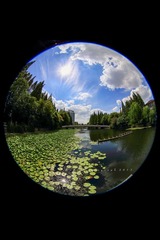 4507_399954787_IMG_0020