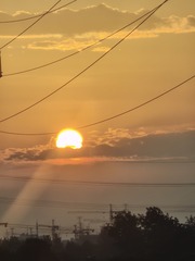 1000033272