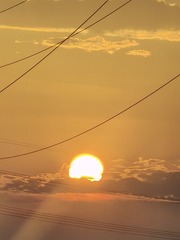 1000033274
