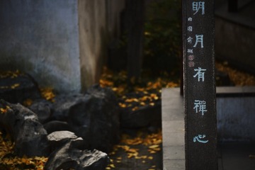 250050