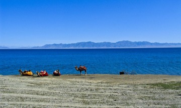 IMG_2238-3.jpg