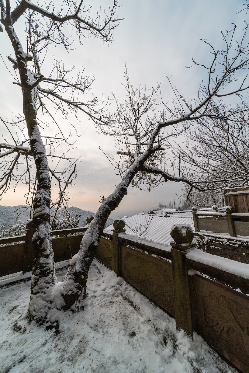 都江堰灵岩寺雪景