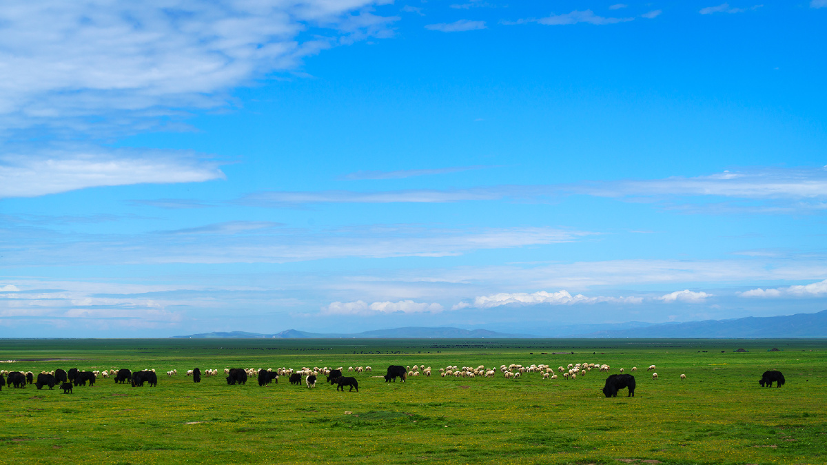 若尔盖草原 - love斌 - 图虫