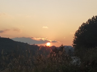 1173202