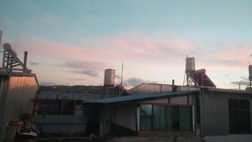 3116817
