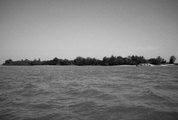 P4294282.jpg