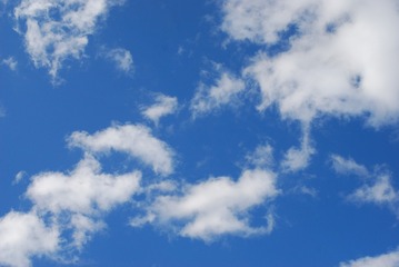 11026