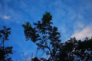 12501