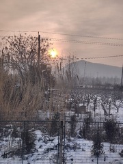 1000027847