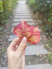 1000025912