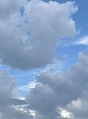 743D0E0E-D054-4377-99E2-9AADAC79E3BE/L0/001