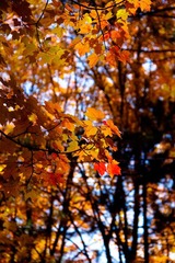 Keweenaw Peninsula