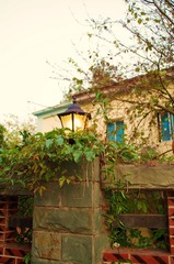 IMGP0979.JPG